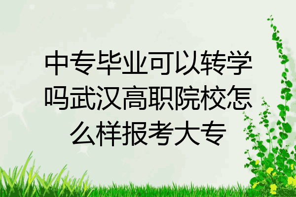 中专毕业可以转学吗武汉高职院校怎么样报考大专