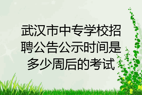 武汉市中专学校招聘公告公示时间是多少周后的考试