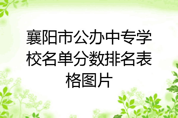 襄阳市公办中专学校名单分数排名表格图片