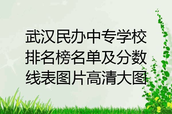 武汉民办中专学校排名榜名单及分数线表图片高清大图
