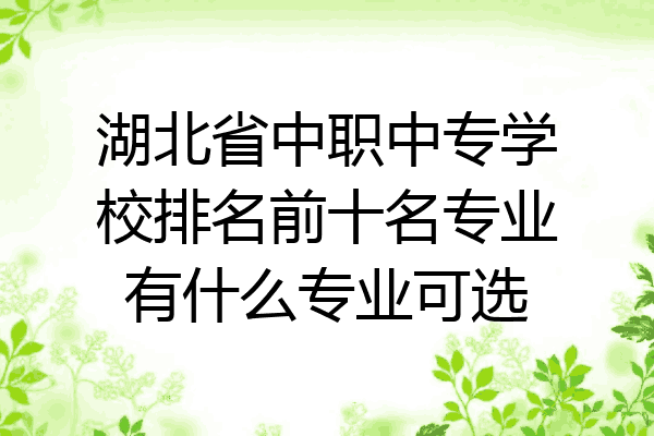 湖北省中职中专学校排名前十名专业有什么专业可选