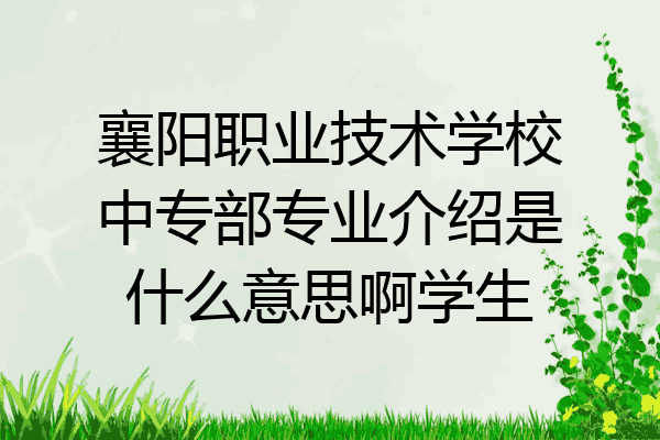 襄阳职业技术学校中专部专业介绍是什么意思啊学生