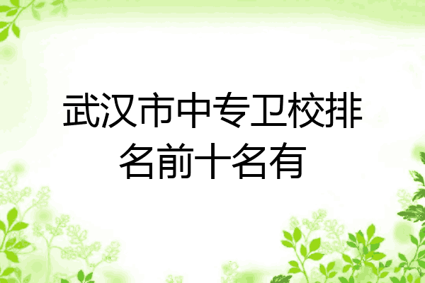 武汉市中专卫校排名前十名有