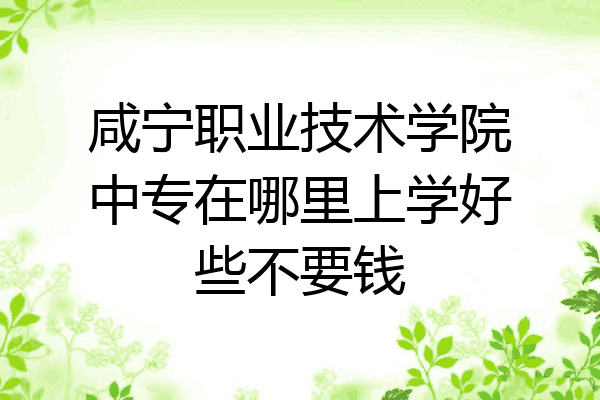 咸宁职业技术学院中专在哪里上学好些不要钱