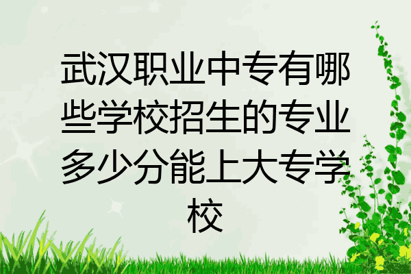 武汉职业中专有哪些学校招生的专业多少分能上大专学校