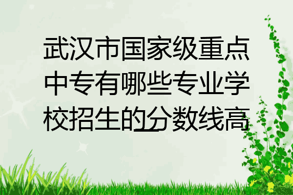 武汉市国家级重点中专有哪些专业学校招生的分数线高一