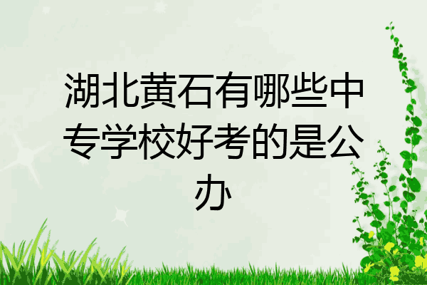 湖北黄石有哪些中专学校好考的是公办