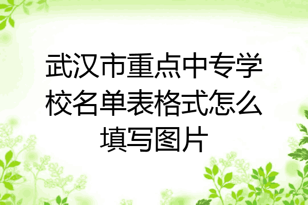 武汉市重点中专学校名单表格式怎么填写图片
