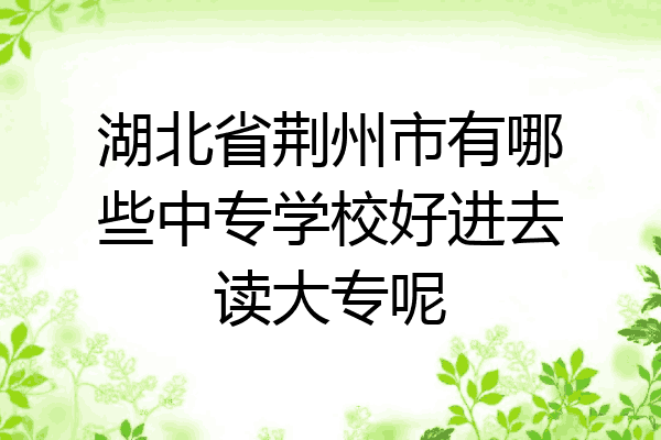 湖北省荆州市有哪些中专学校好进去读大专呢