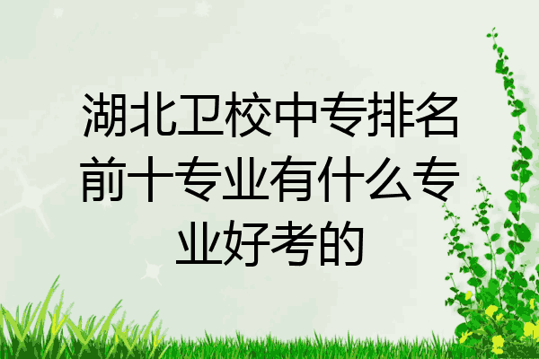 湖北卫校中专排名前十专业有什么专业好考的