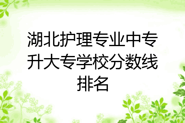 湖北护理专业中专升大专学校分数线排名