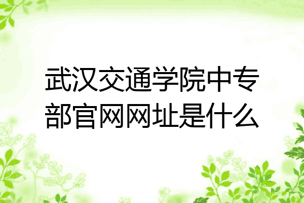 武汉交通学院中专部官网网址是什么