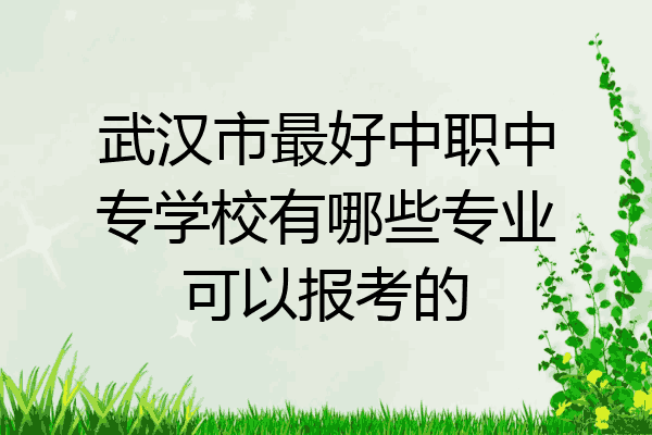 武汉市最好中职中专学校有哪些专业可以报考的