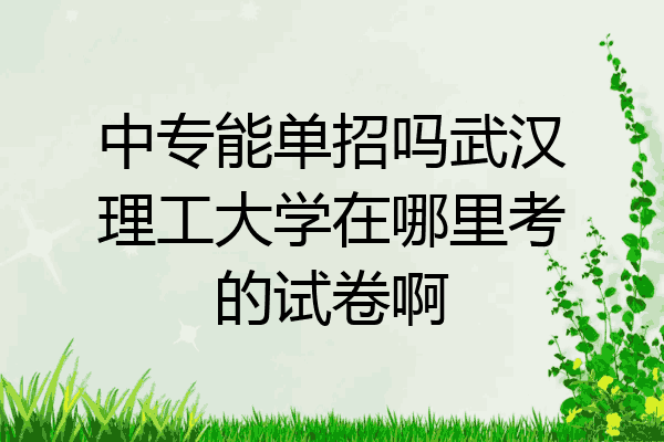 中专能单招吗武汉理工大学在哪里考的试卷啊