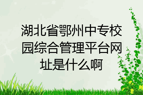 湖北省鄂州中专校园综合管理平台网址是什么啊