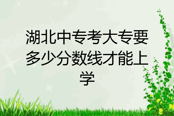 湖北中专考大专要多少分数线才能上学