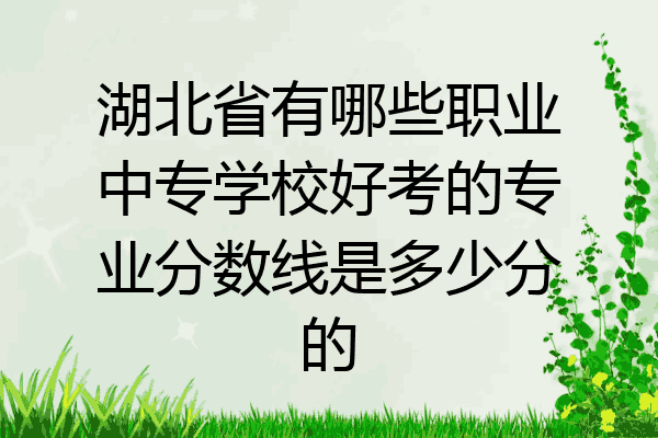 湖北省有哪些职业中专学校好考的专业分数线是多少分的