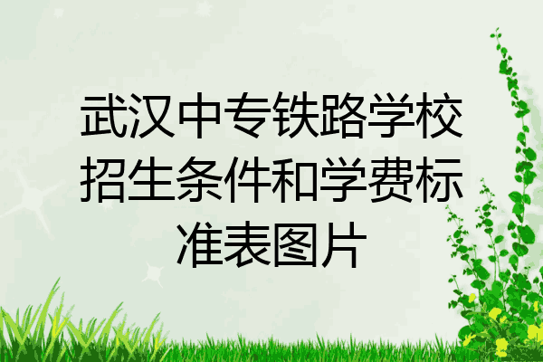 武汉中专铁路学校招生条件和学费标准表图片
