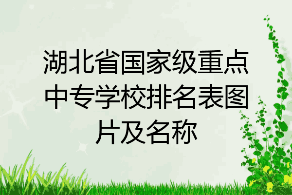 湖北省国家级重点中专学校排名表图片及名称