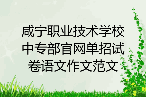 咸宁职业技术学校中专部官网单招试卷语文作文范文