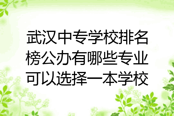 武汉中专学校排名榜公办有哪些专业可以选择一本学校
