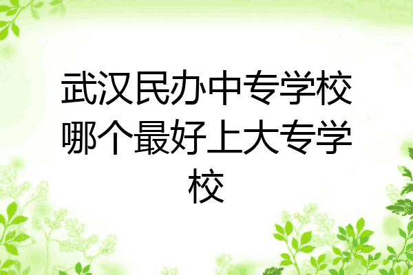 武汉民办中专学校哪个最好上大专学校