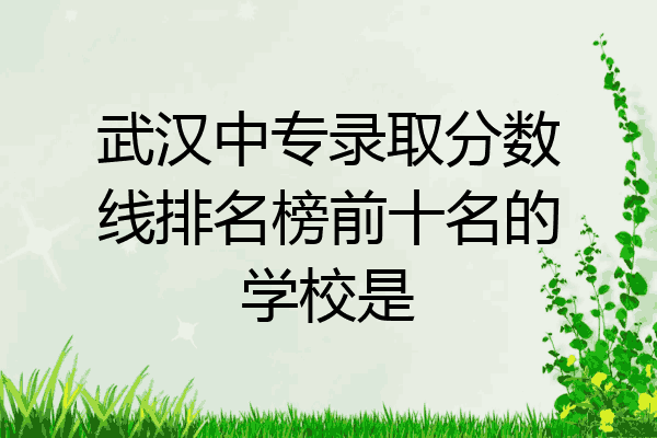武汉中专录取分数线排名榜前十名的学校是