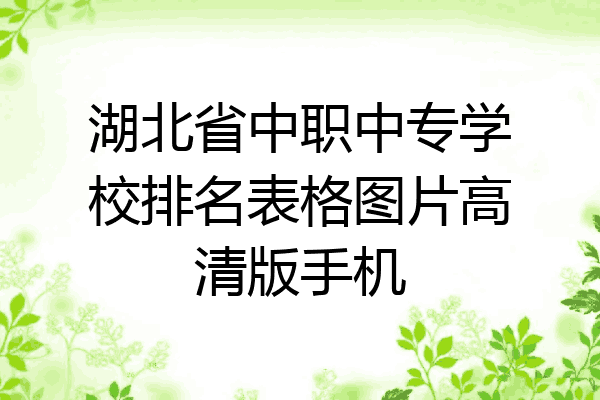 湖北省中职中专学校排名表格图片高清版手机