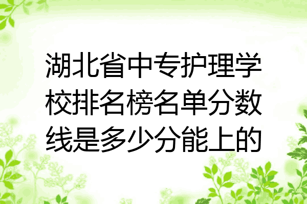 湖北省中专护理学校排名榜名单分数线是多少分能上的