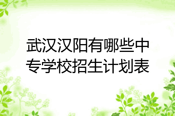 武汉汉阳有哪些中专学校招生计划表