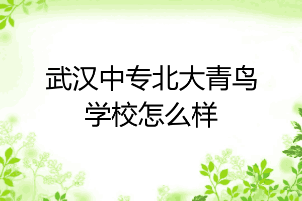 武汉中专北大青鸟学校怎么样