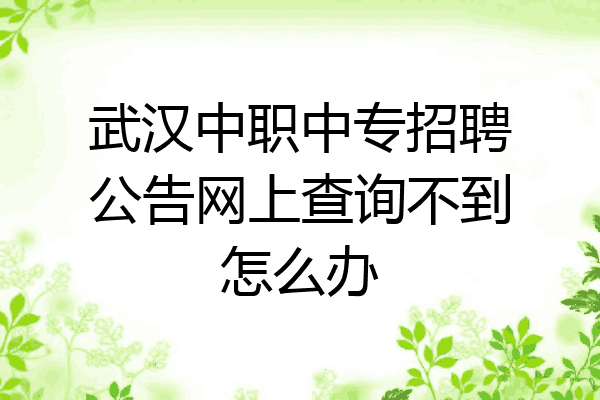 武汉中职中专招聘公告网上查询不到怎么办