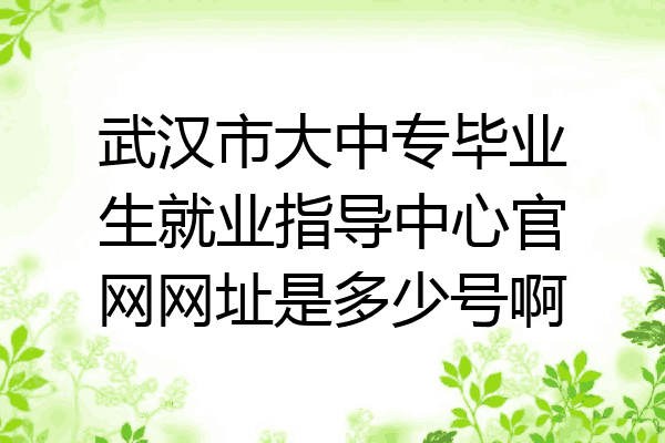 武汉市大中专毕业生就业指导中心官网网址是多少号啊