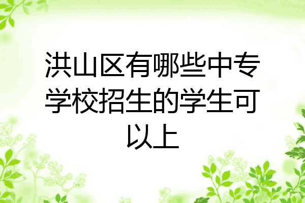 洪山区有哪些中专学校招生的学生可以上