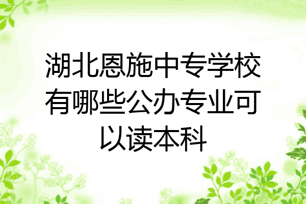 湖北恩施中专学校有哪些公办专业可以读本科