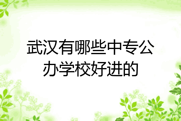 武汉有哪些中专公办学校好进的