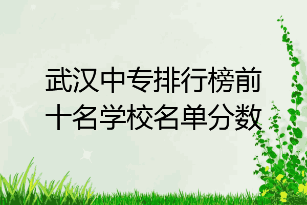 武汉中专排行榜前十名学校名单分数