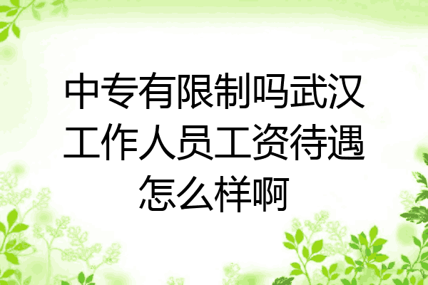中专有限制吗武汉工作人员工资待遇怎么样啊