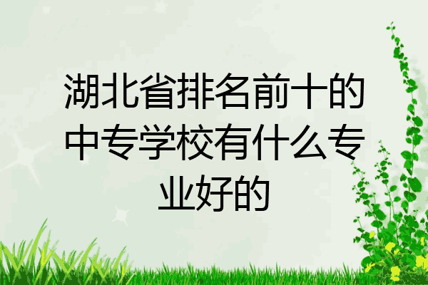 湖北省排名前十的中专学校有什么专业好的