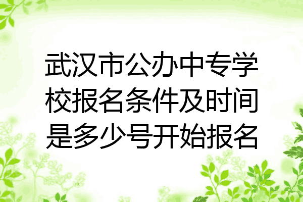 武汉市公办中专学校报名条件及时间是多少号开始报名