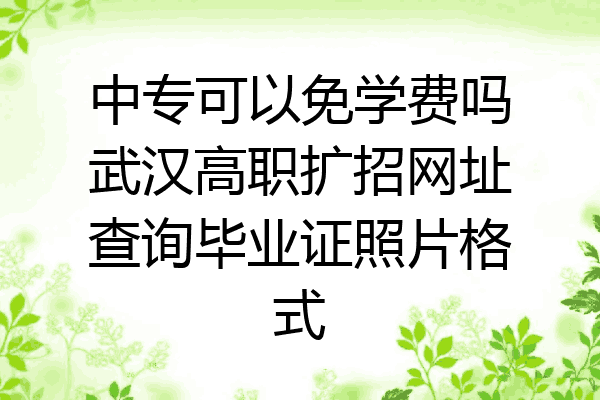 中专可以免学费吗武汉高职扩招网址查询毕业证照片格式