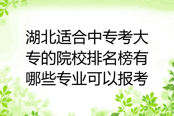 湖北适合中专考大专的院校排名榜有哪些专业可以报考