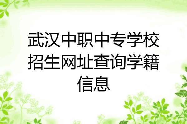 武汉中职中专学校招生网址查询学籍信息