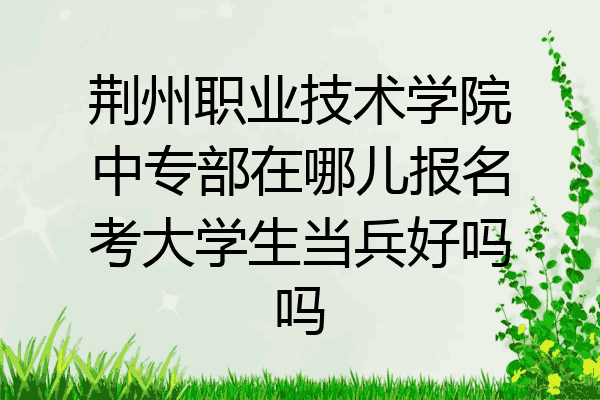荆州职业技术学院中专部在哪儿报名考大学生当兵好吗吗