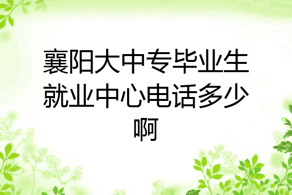 襄阳大中专毕业生就业中心电话多少啊