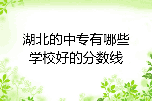 湖北的中专有哪些学校好的分数线