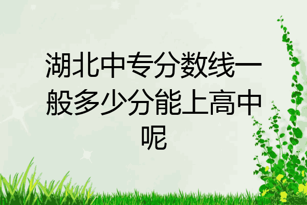 湖北中专分数线一般多少分能上高中呢