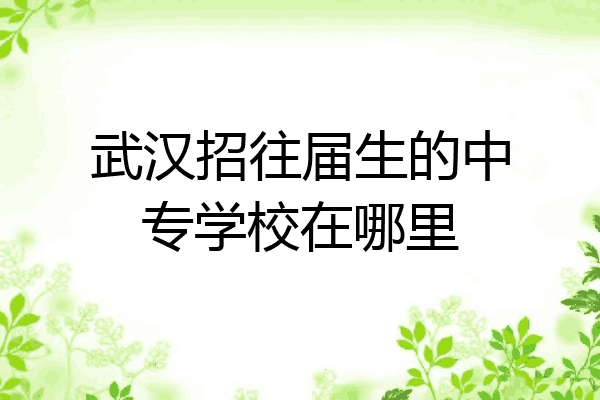 武汉招往届生的中专学校在哪里