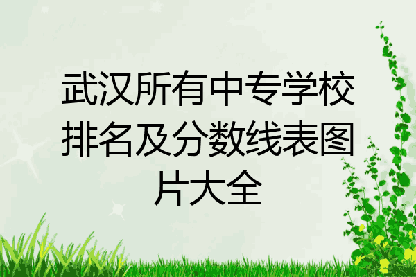 武汉所有中专学校排名及分数线表图片大全