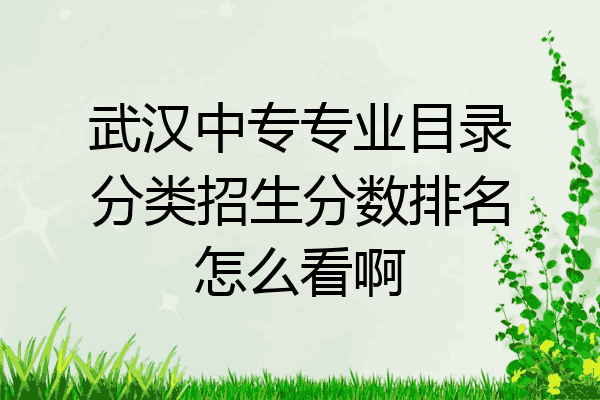武汉中专专业目录分类招生分数排名怎么看啊